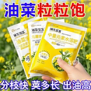 油菜宝宝提高出油率促花授粉抗倒伏荚多角密籽粒饱满油菜新型肥料