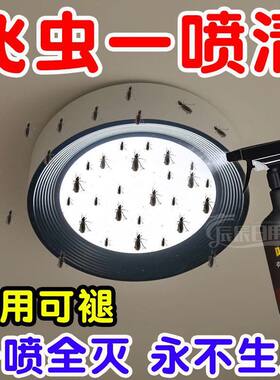 小飞虫喷雾剂室内杀虫剂