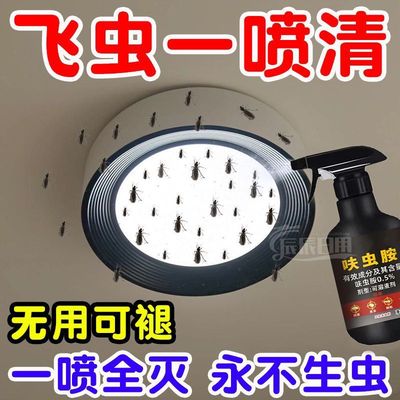 小飞虫喷雾剂室内杀虫剂