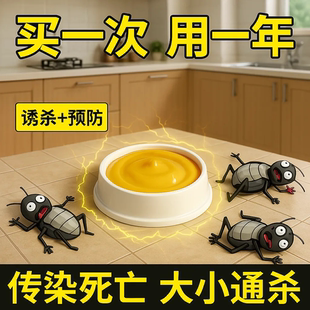 强效蟑螂药出租屋家用宠物孕妇婴儿无毒一窝端厨房蟑螂克星方便贴
