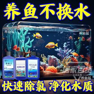 净水王鱼缸净水剂懒人免换水神器澄清清澈净化水质除黄水硝化细菌