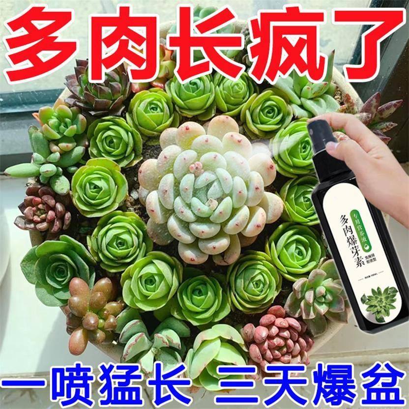 多肉专用营养液爆芽催芽生根液烂叶掉叶增色防徒长液体有机肥料,鲜花速递/花卉仿真/绿植园艺,家庭园艺肥料,淘宝优惠券,粉丝福利购,淘宝优惠卷