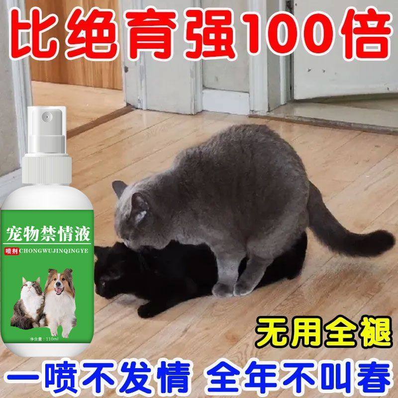 正品猫咪宠物猫母猫情液公猫抑情禁情抑制喷剂猫静情发情期绝育雾,宠物/宠物食品及用品,猫特色保健品,淘宝优惠券,粉丝福利购,淘宝优惠卷