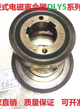 牙嵌式电磁离合器DLY5DC24V 2A5A10A16A25A63A100A250A400A630A
