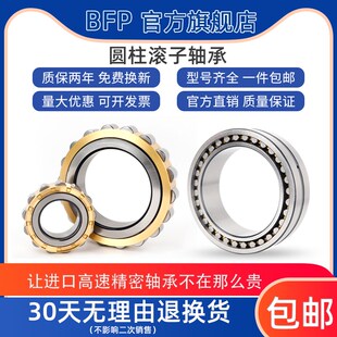 N326 N324 铜保持架 BFP圆柱滚子进口轴承N320 N322