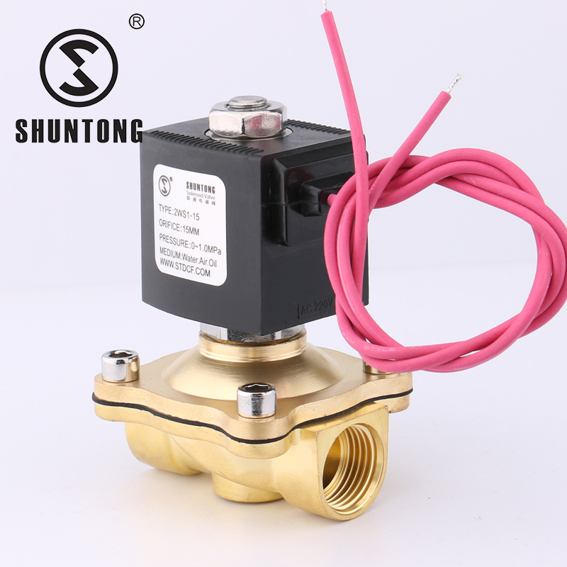 2WS1-15直拉膜片式DN15DN20DN25线圈AC220VDC24V电磁阀