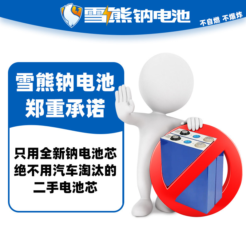 雪熊钠离子电池组平替锂电瓶两轮三轮电动车48v60v72伏外送新国标
