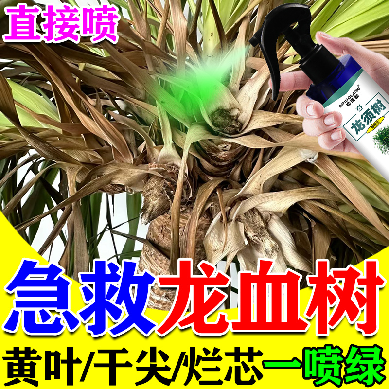 龙血树专用营养液肥料龙须树治疗黄叶干尖烂根茎芯腐炭疽病复活灵