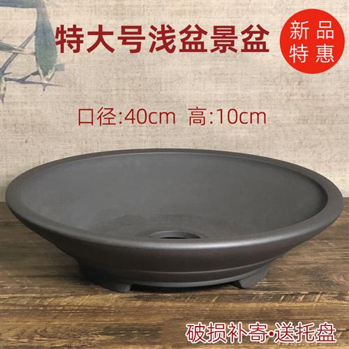 宜兴紫砂花盆假山盆黄杨老桩簕竹盆菖蒲粗陶特大多肉盆景蕨类浅盆