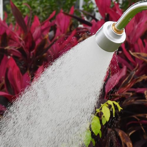 长杆喷头水洒浇水神器浇菜育苗多功能浇花可调节家用水枪盆景兰花