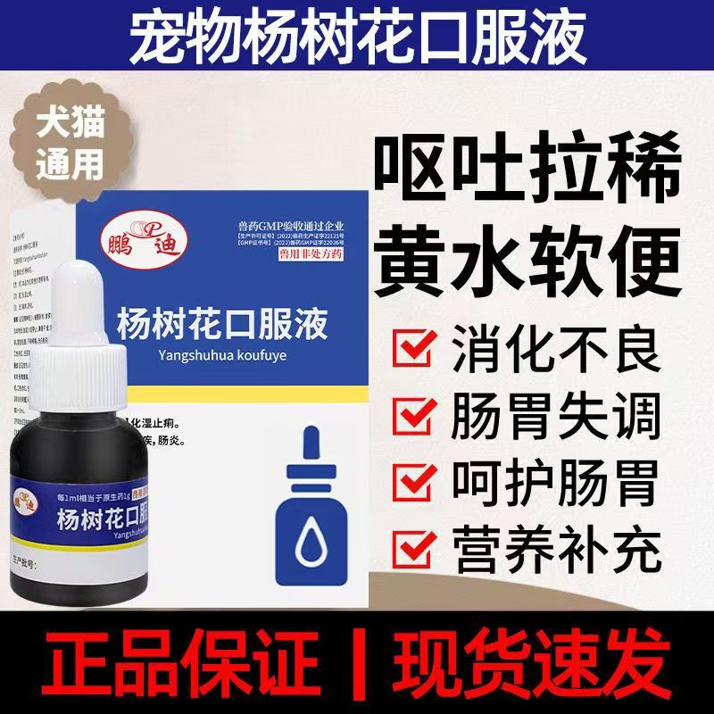 杨树花口服液宠物用猫咪狗狗拉稀