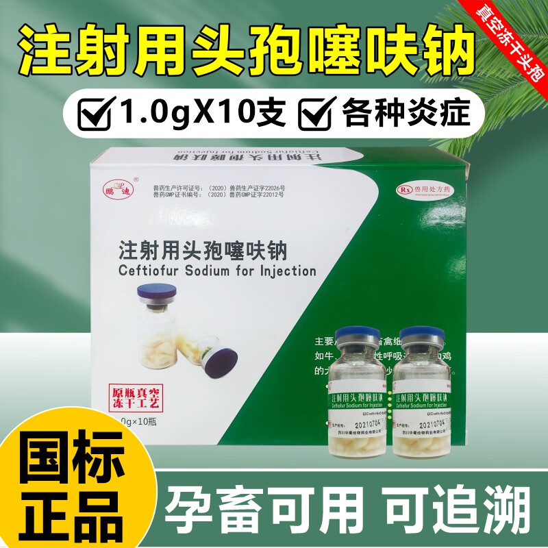 鹏迪头孢噻呋钠兽用注射用冻干粉1g兽药猪牛羊犬猫兔消炎感冒正品