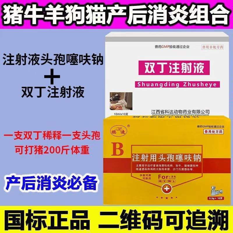 双丁注射液兽用猪牛羊乳房炎红肿