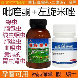 兽用兽药吡喹酮片左旋咪唑片驱虫药猪牛羊脑包虫绦虫肺丝虫血吸虫