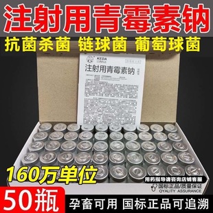 青霉素兽用 50支/盒 注射用青霉素钠兽药鸡药猪牛羊鸡鸭鹅猫狗犬