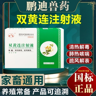 双黄连兽药注射兽用针剂液猪牛羊用清热解毒外感风热肺热咳喘正品
