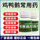 双黄连片兽用猫咪鸡鸭鹅感冒发烧小鸡药品养鸡专用药狗狗咳嗽小猫
