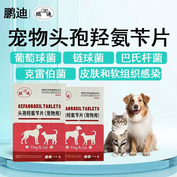 头孢羟氨苄片宠物狗狗消炎药猫咪软组织感染伤口消肿止痛消炎用药
