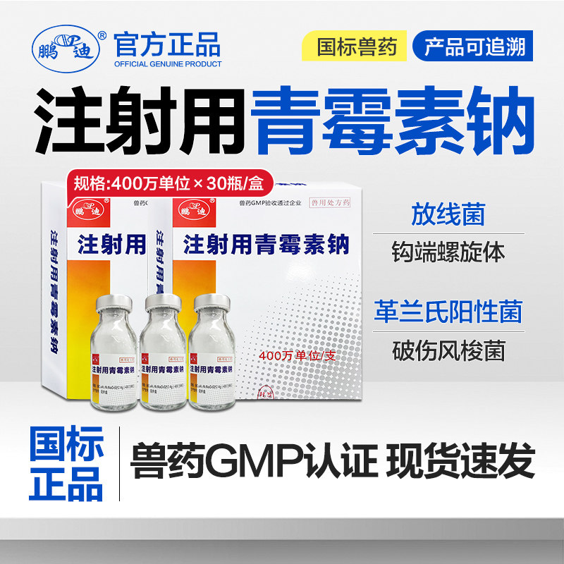 鹏迪青霉素兽用 400万注射用青霉素钠兽药猪牛羊犬猫兔鸡鸭鹅正品,宠物/宠物食品及用品,家养大动物药品,淘宝优惠券,粉丝福利购,淘宝优惠卷