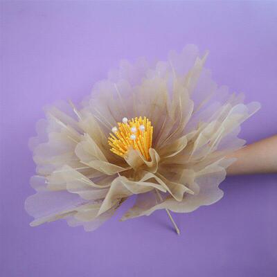 Wedding Outdoor Decor Giant Silk Peony Window Display