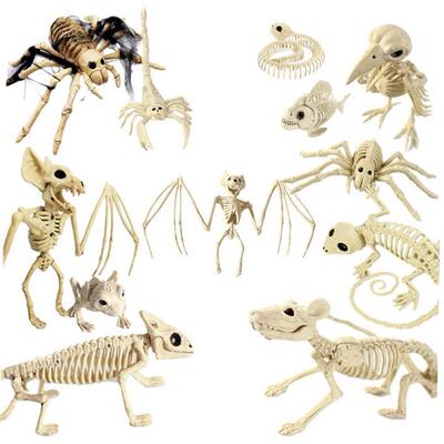 Halloween Decoration Animal Skeleton Hallowmas House Party O