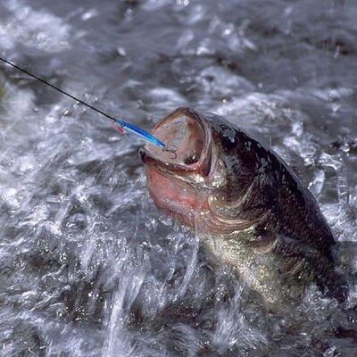 Metal Jig Fishing Lure 60g Trolling Hard Bait Trout Jigging