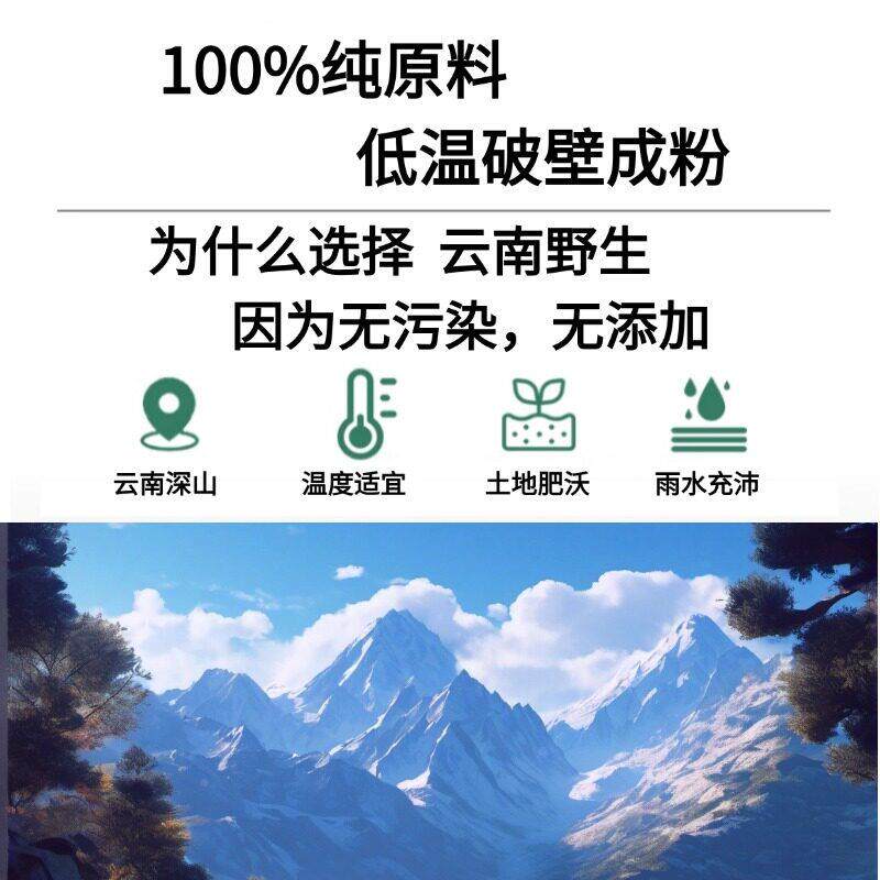 全当归片现磨整5克粉UCI甘肃农家个当归0压片可泡