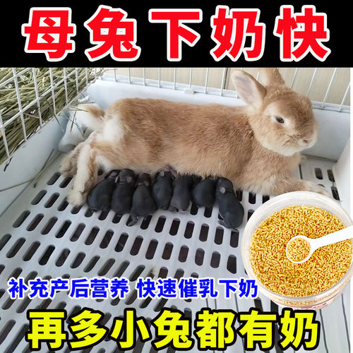 兔子哺乳期下奶营养品