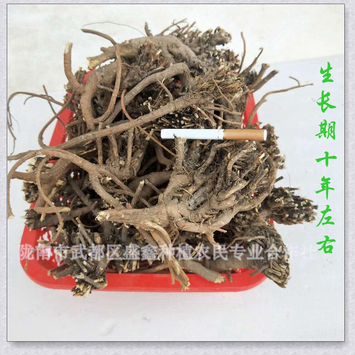 柴胡甘肃多年野外生长精挑选大北柴胡产地一手货源高含量产地