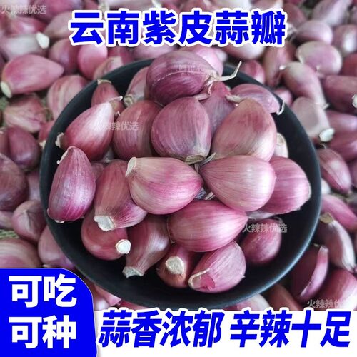 云南老品种紫皮大蒜干蒜瓣2026年新晒干多瓣蒜蒜香浓郁