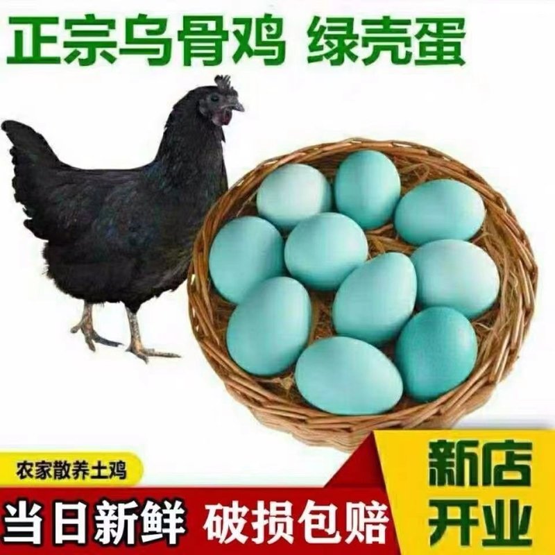 助农正宗五黑鸡绿壳土鸡蛋绿壳蛋30-50枚乌鸡蛋农家散养笨鸡蛋
