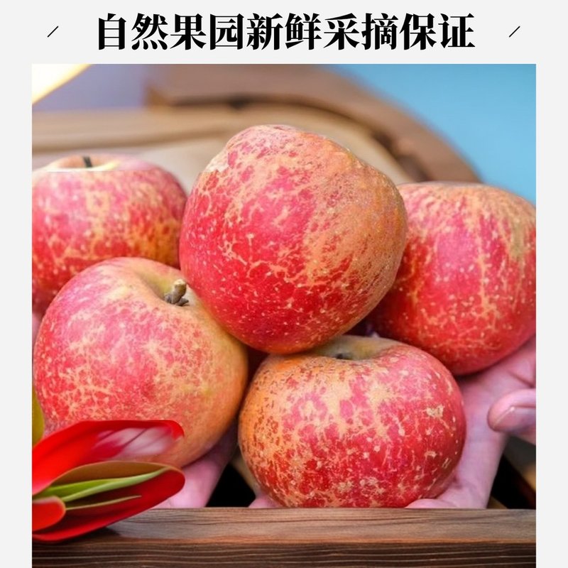 1云南昭通丑苹果水果新鲜优质自然果园3/5/10斤重量山区快递