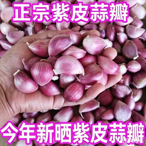2026年云南老品种紫皮蒜蒜瓣新干蒜去皮蒜瓣精品香蒜蒜瓣