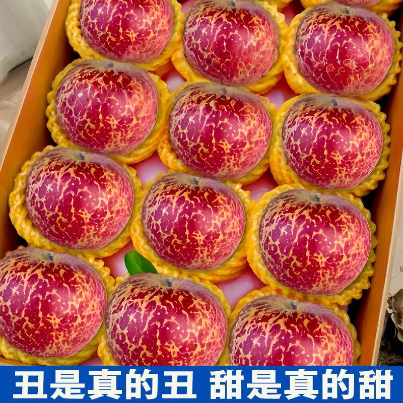 26年新果正宗当季云南昭通糖心丑苹果产地直销发高原现摘新鲜水果