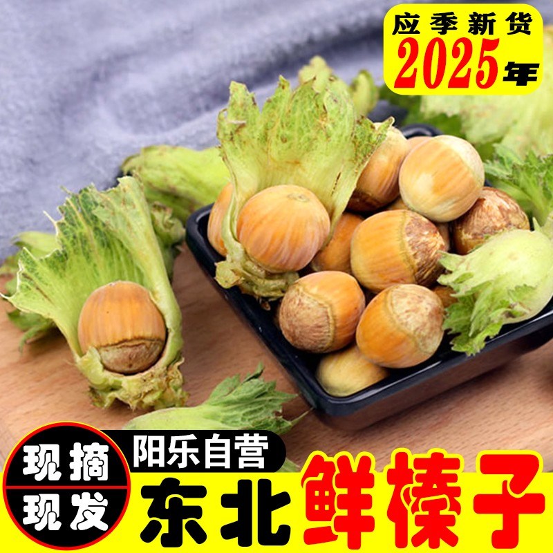2026年现货辽宁新鲜绿皮大榛子达维榛子应季现货5斤中通包邮
