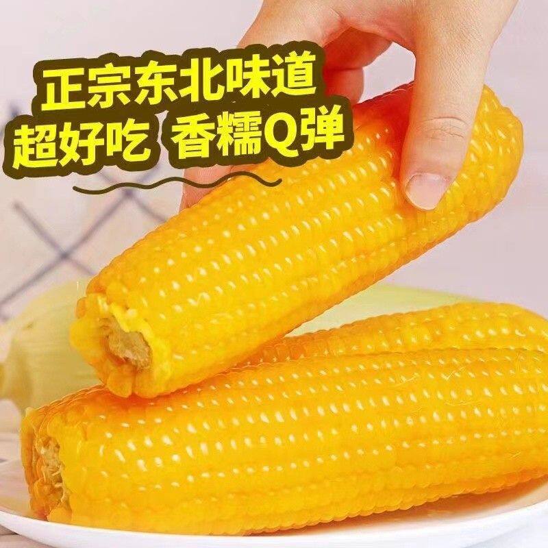 新人专属头茬新鲜糯玉米东北黑龙江黏苞米试吃2根