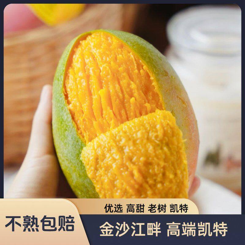 老树凯特金沙江优质凯特芒果5斤8斤装 软糯香甜 放软食用