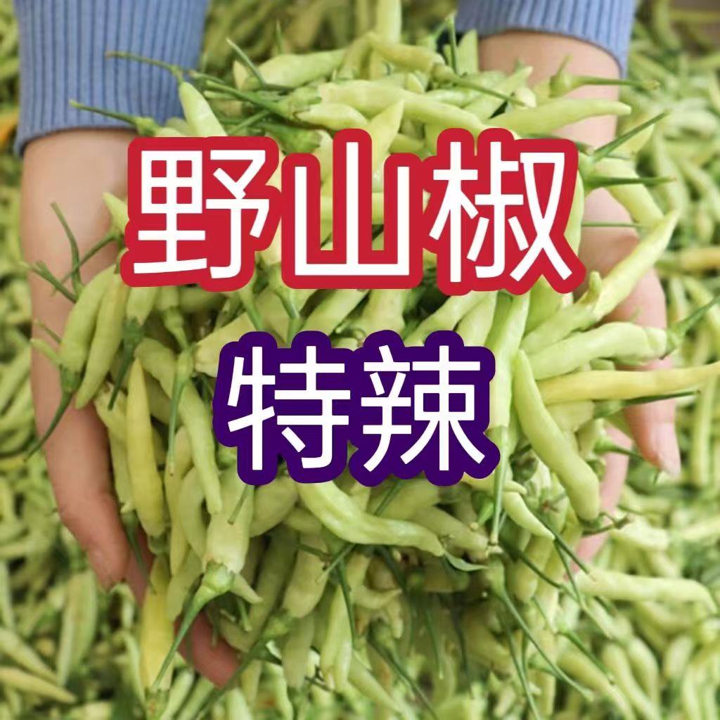 新鲜野山椒特辣小米辣椒现摘白泡椒剁椒尖椒魔鬼朝天椒白米椒5斤