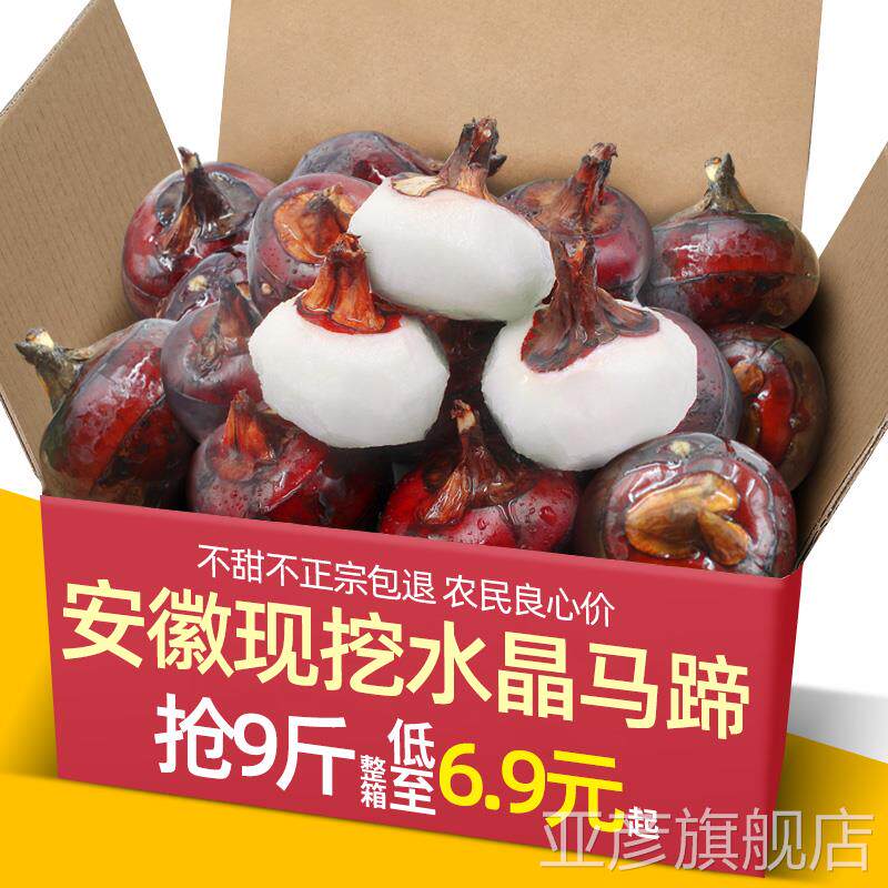 正宗广西特产现挖水晶马蹄5-9斤大果蔬菜荸荠水果包邮农家自种红