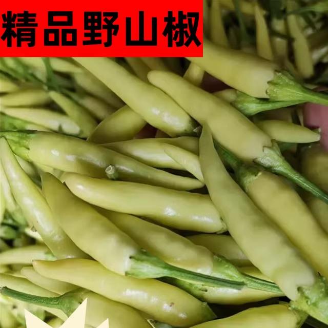 新鲜野山椒特辣小米辣椒白泡椒