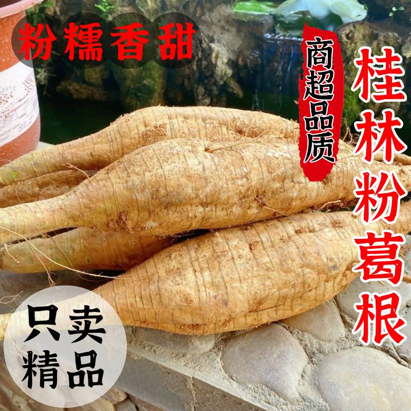 广西新鲜粉葛根野葛根粉嫩香甜