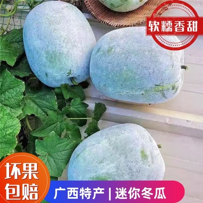 小冬瓜新鲜现摘迷你小香冬瓜当季农家时令蔬菜挂霜节毛水果东瓜