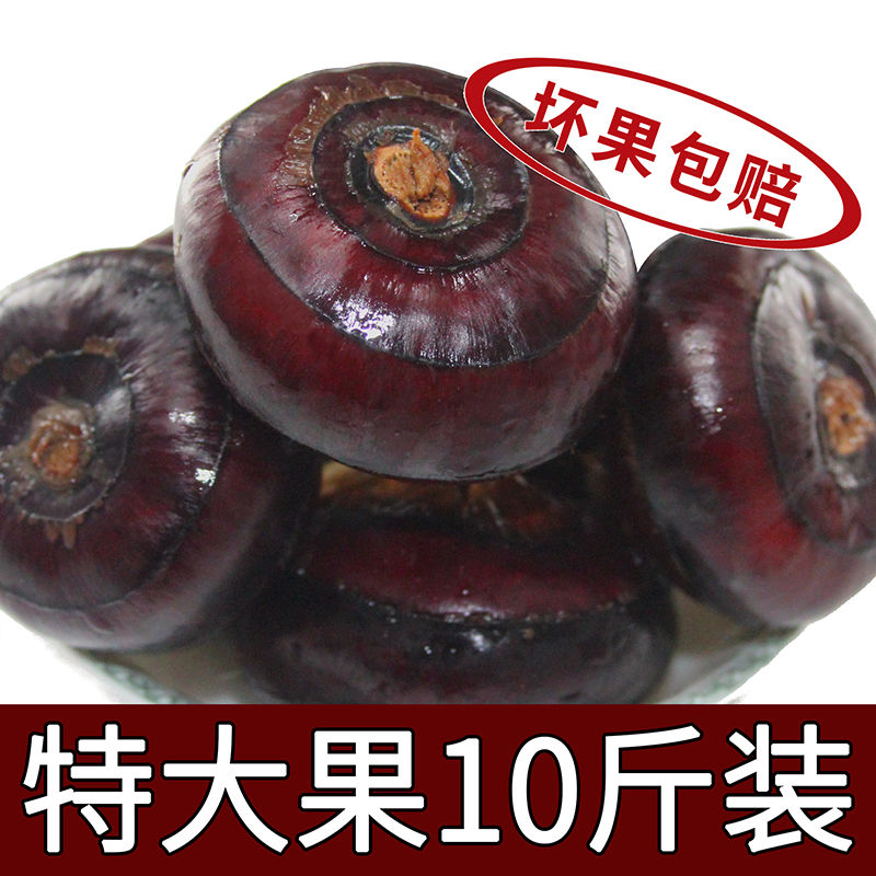 新鲜荸荠马蹄1斤中果地栗地梨农家水果蔬菜红9斤马蹄果现挖现发