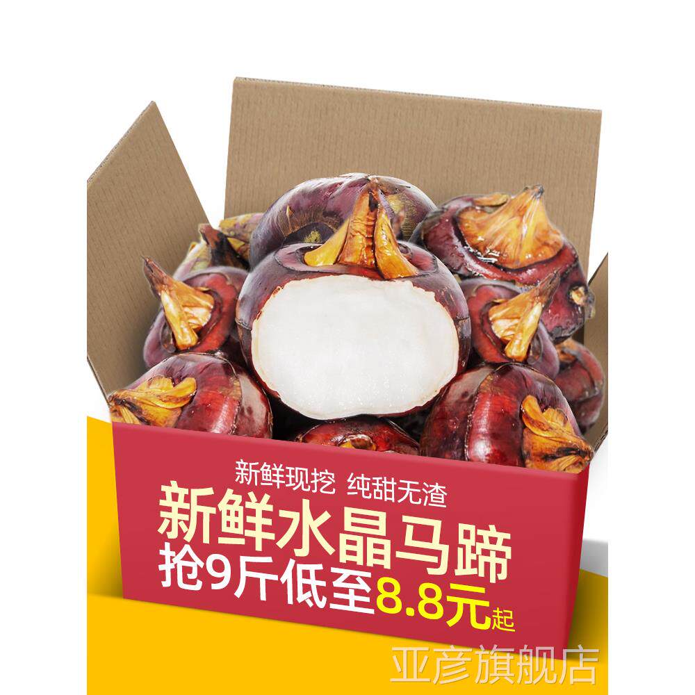 正宗精选好果正宗安徽水果水晶马蹄5斤荸荠新鲜脆甜无渣当季水果