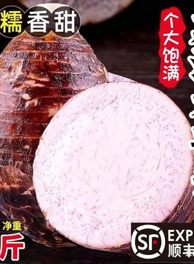 广西荔浦新鲜大芋头粉糯香农家特产紫藤毛芋头香槟榔芋商用芋泥甜