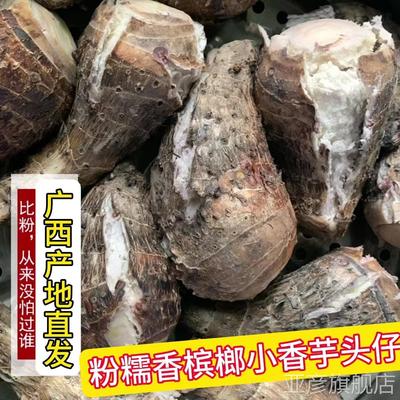正宗广西特产非荔浦小芋头新鲜香芋粉糯正宗槟榔芋5斤农家自种当