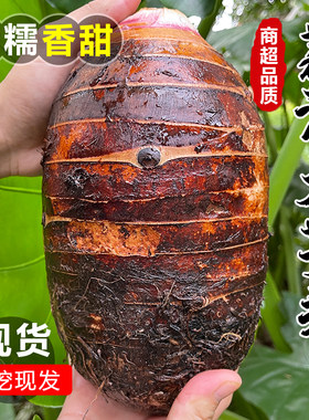 广西荔浦新鲜芋头槟芋榔粉糯香甜