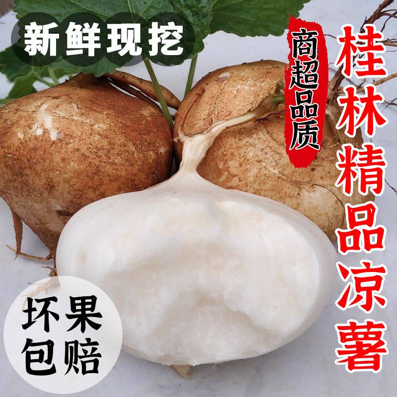 凉薯新鲜现挖白心地瓜沙葛葛薯