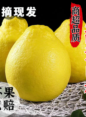 正宗广西容县沙田柚新鲜现摘白肉蜜柚子当季特产水果蜜香纯甜爆汁