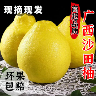 正宗广西容县沙田柚新鲜现摘白肉蜜柚子当季特产水果蜜香纯甜爆汁